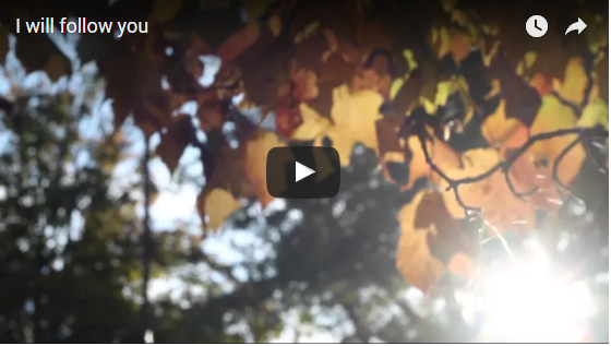I will follow you - student project