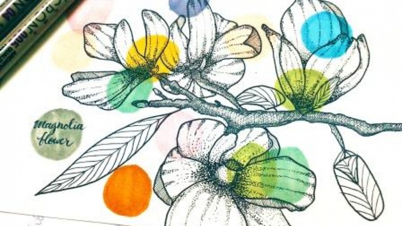 Magnolia Flower