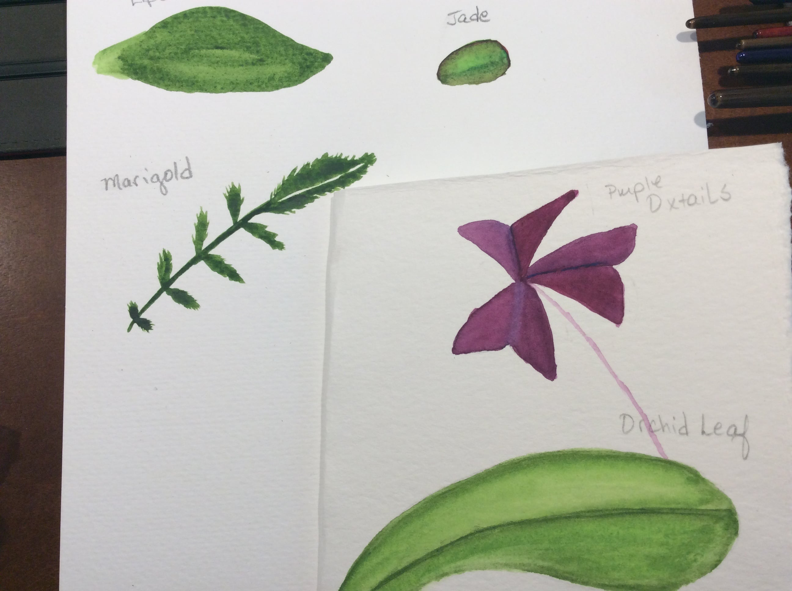 Leaves - student project