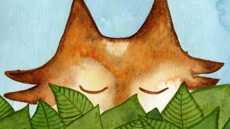  a hidding fox!