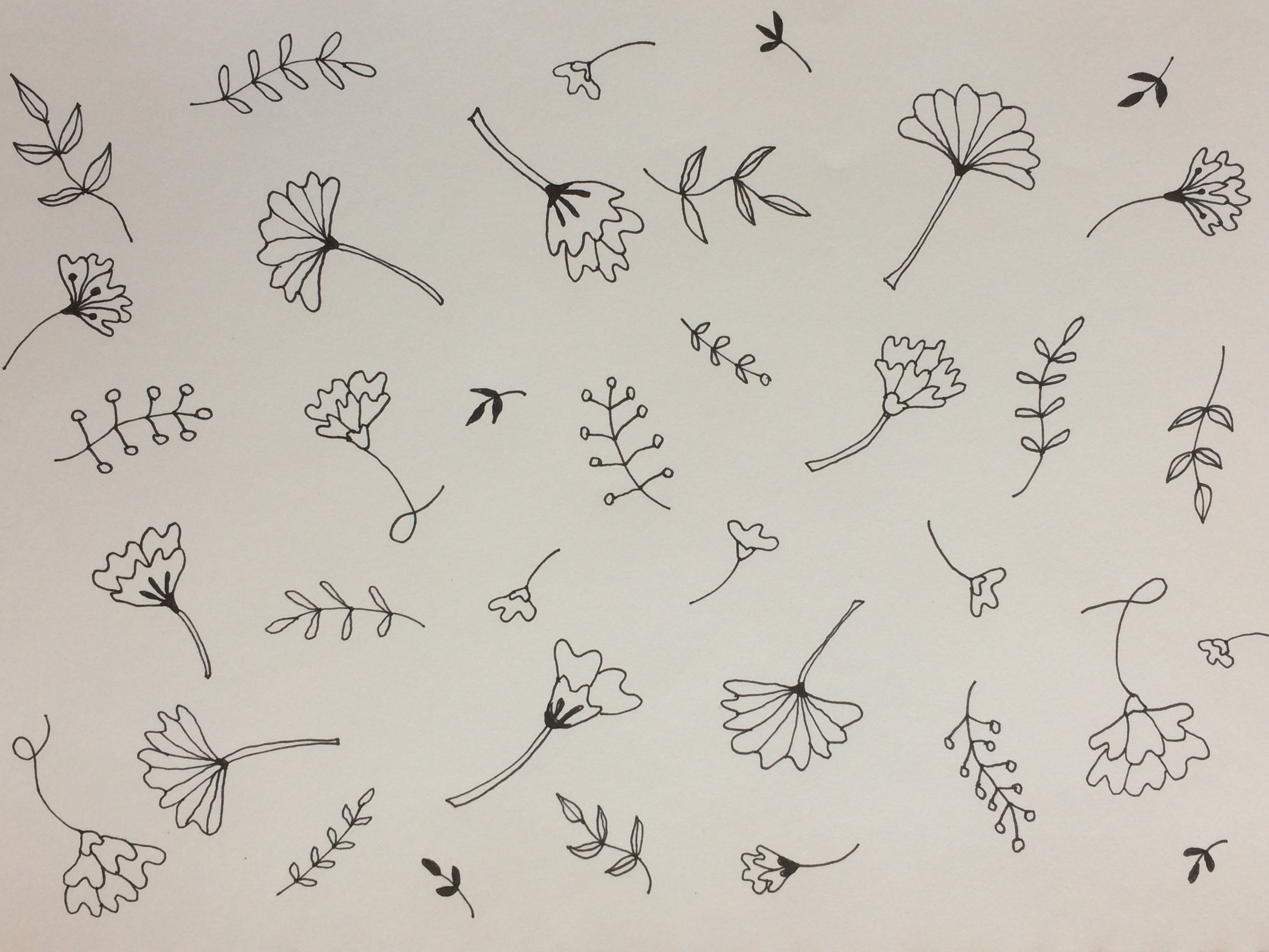 more-projects-from-class-img