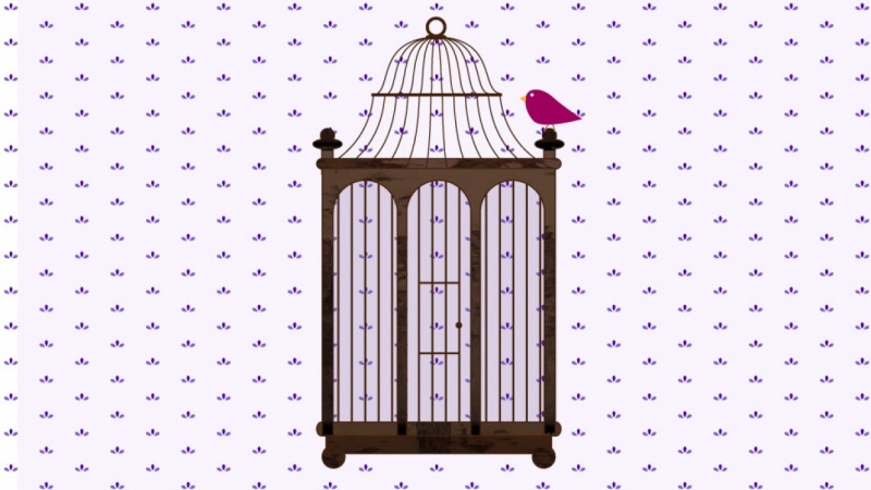 Birdy Cage