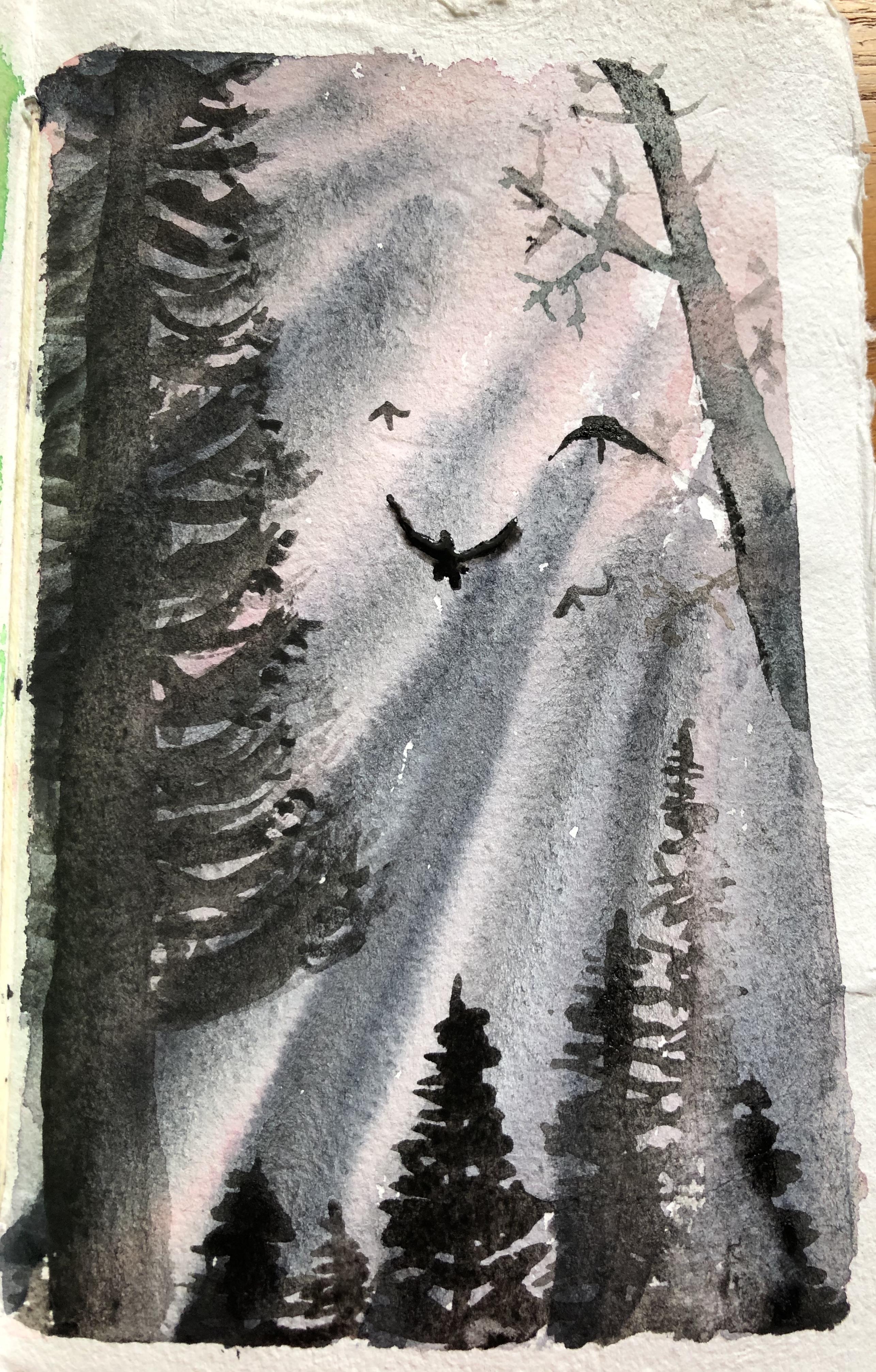 more-projects-from-class-img