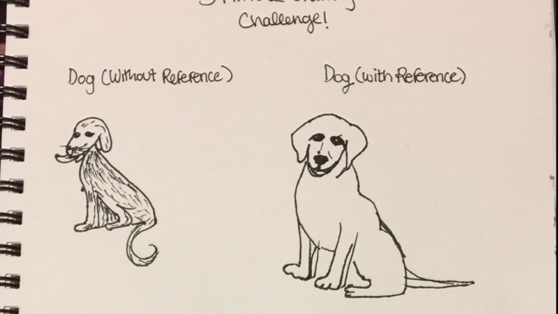 sketches animals