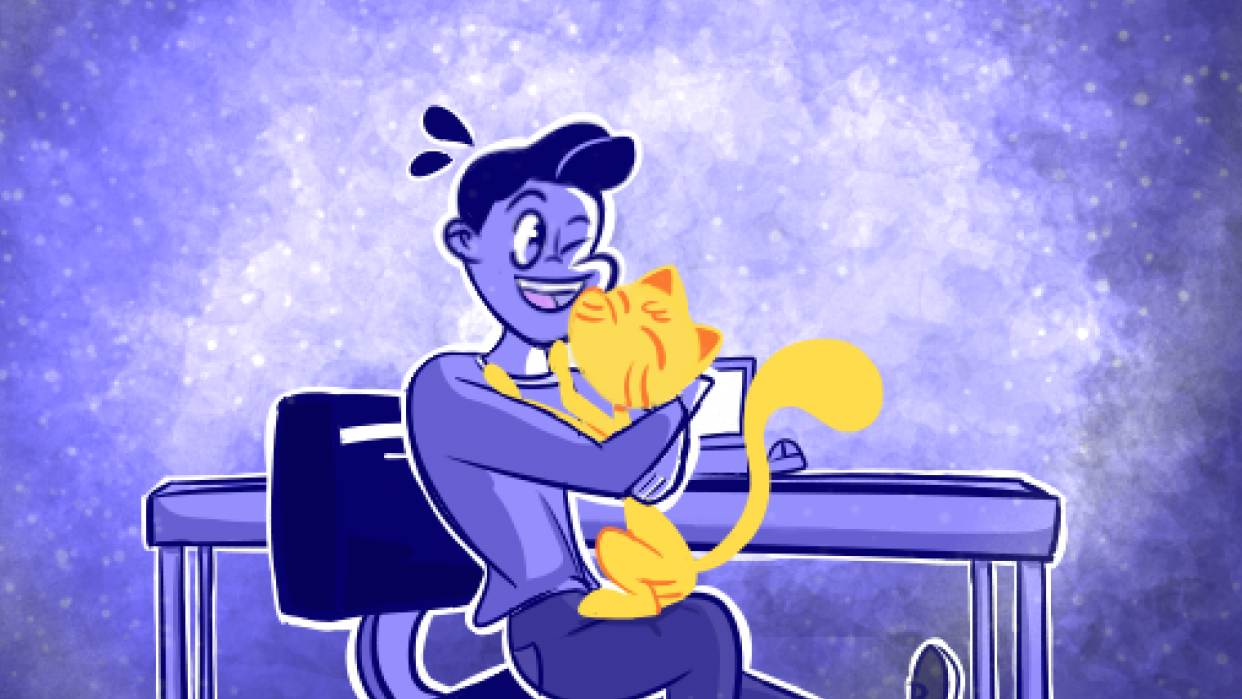 Cat`s affection - student project