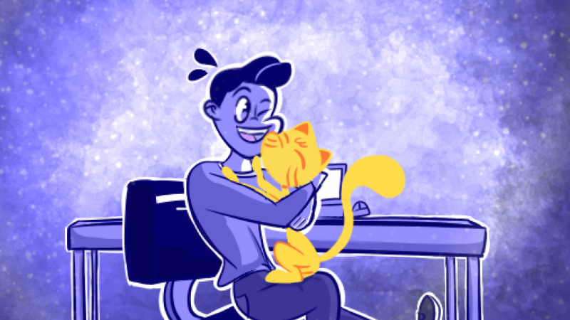 Cat`s affection