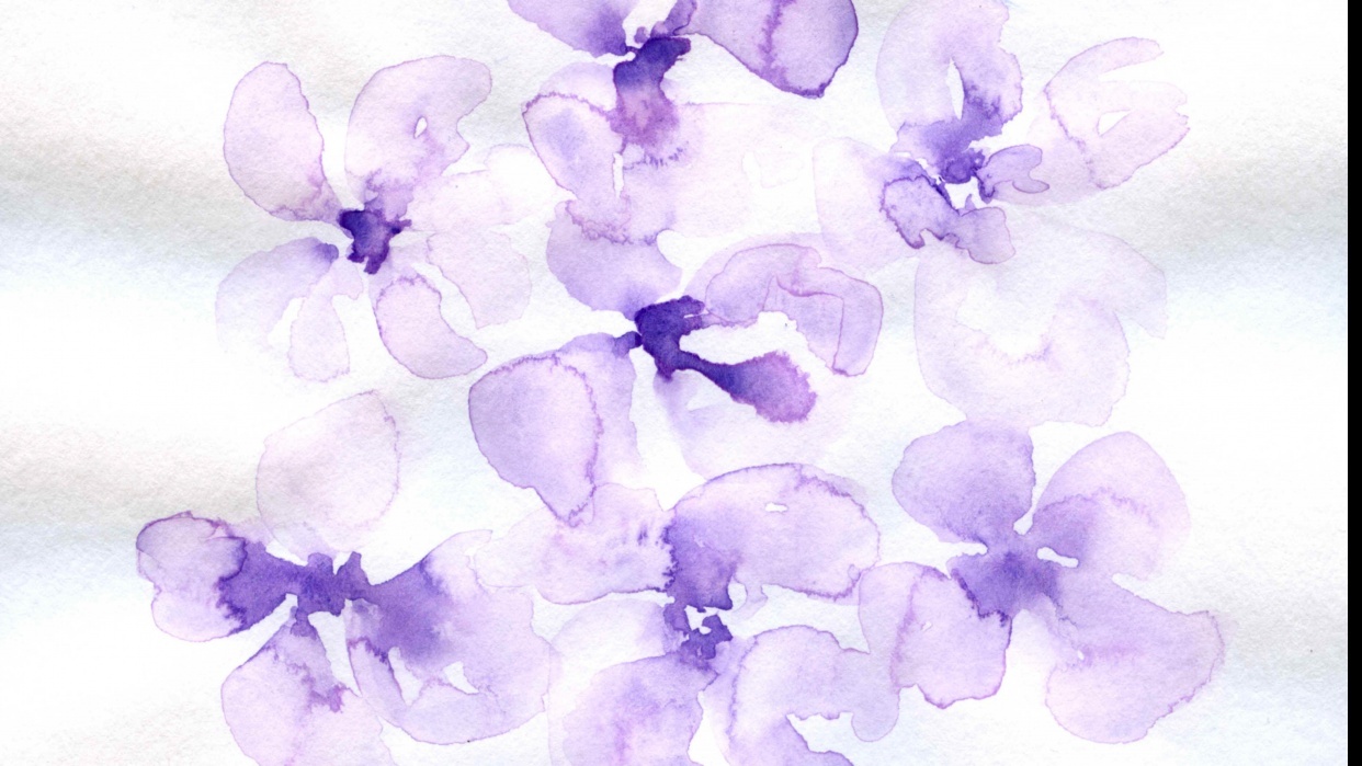Flowers - student project