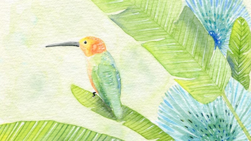 Tropical Leaves