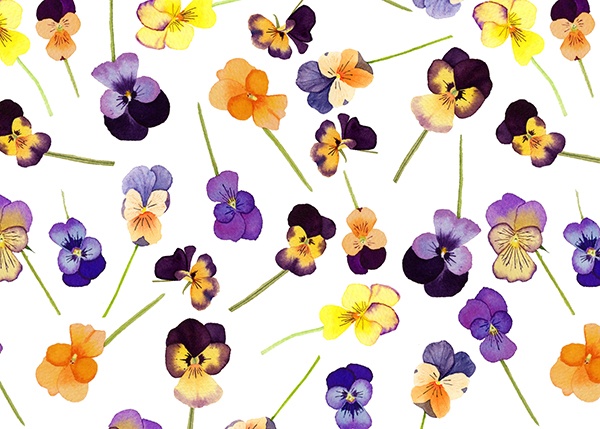 Watercolor Viola Tossed Floral Repeat Pattern