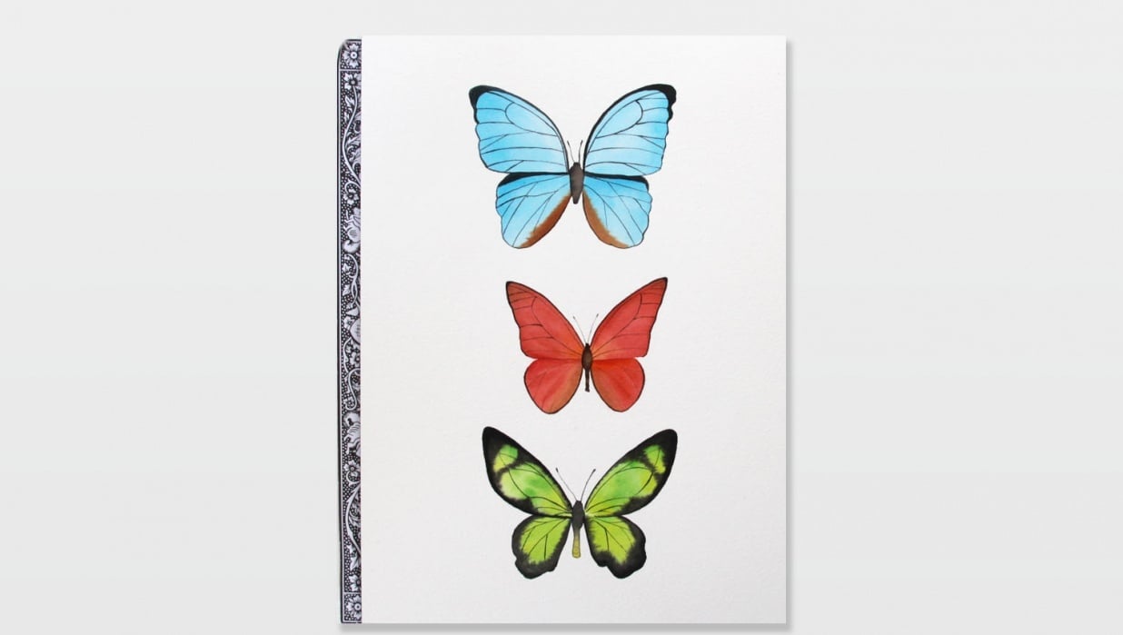 Three Watercolor Butterflies - student project