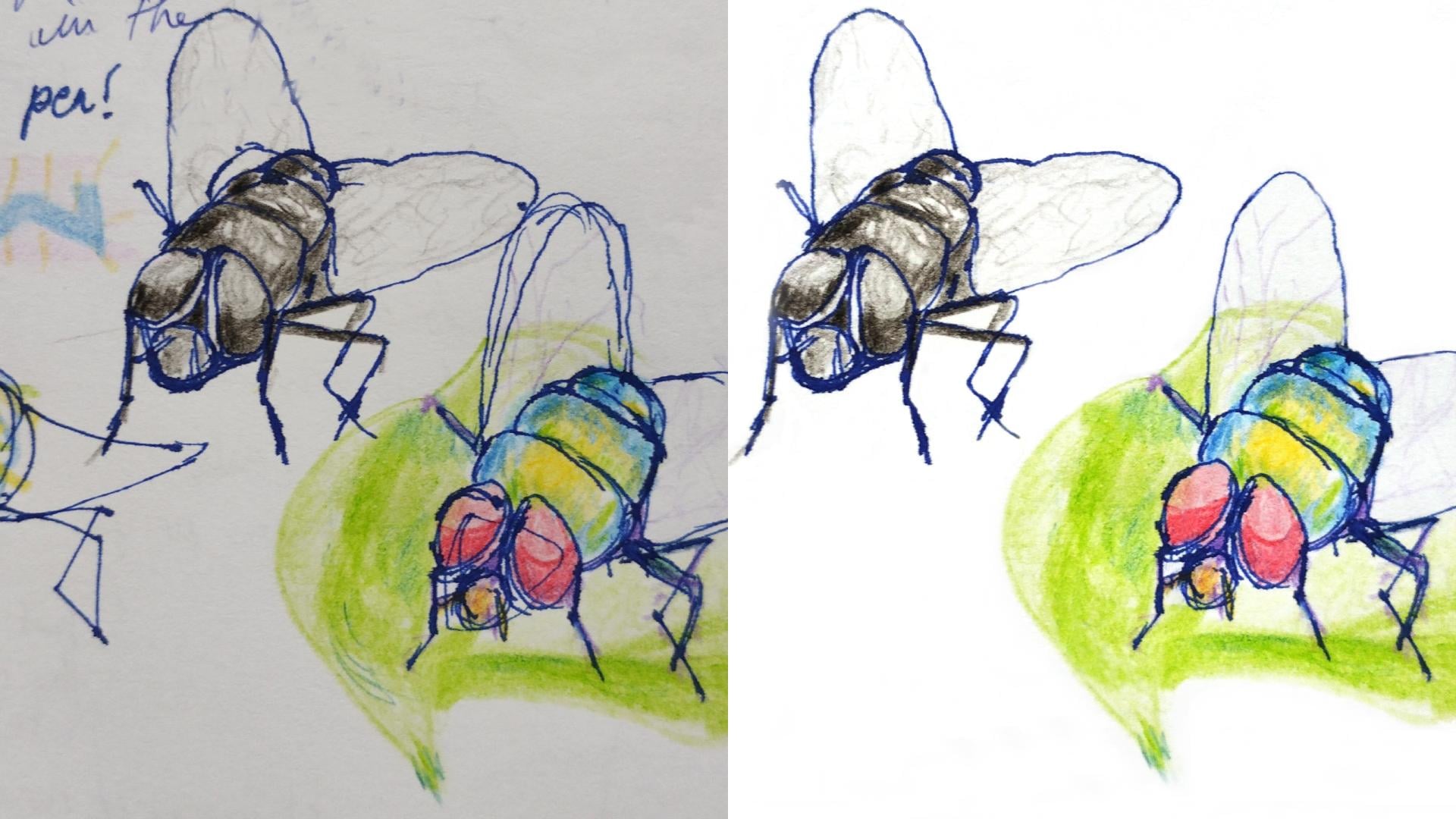 more-projects-from-class-img