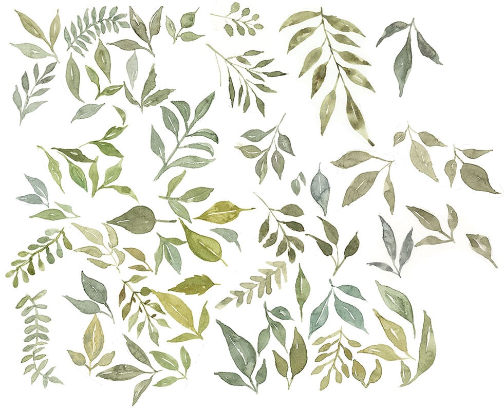 Caitlin Sheffer-Watercolor, How to Paint Floral Greenery - student project