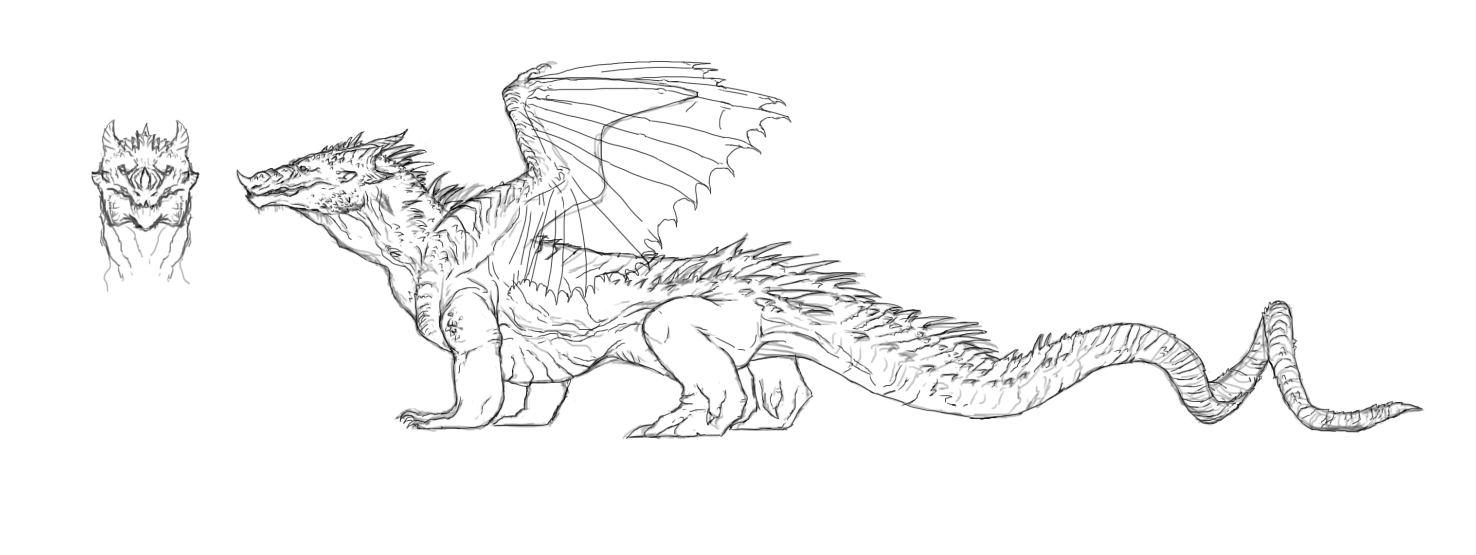 Medieval Dragon Design Skillshare Projects