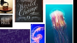 suzy the thing about jellyfish suzy the thing about jellyfish