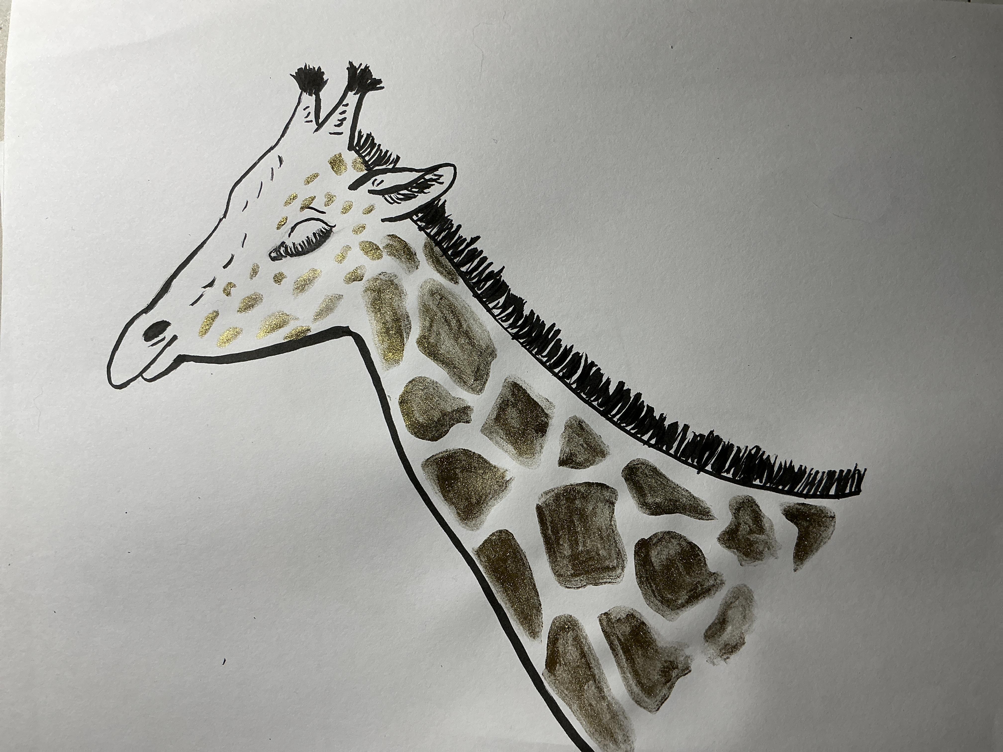 more-projects-from-class-img