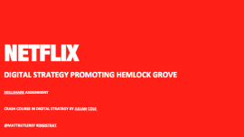 Matt Butler - Netflix Digital Strategy - student project