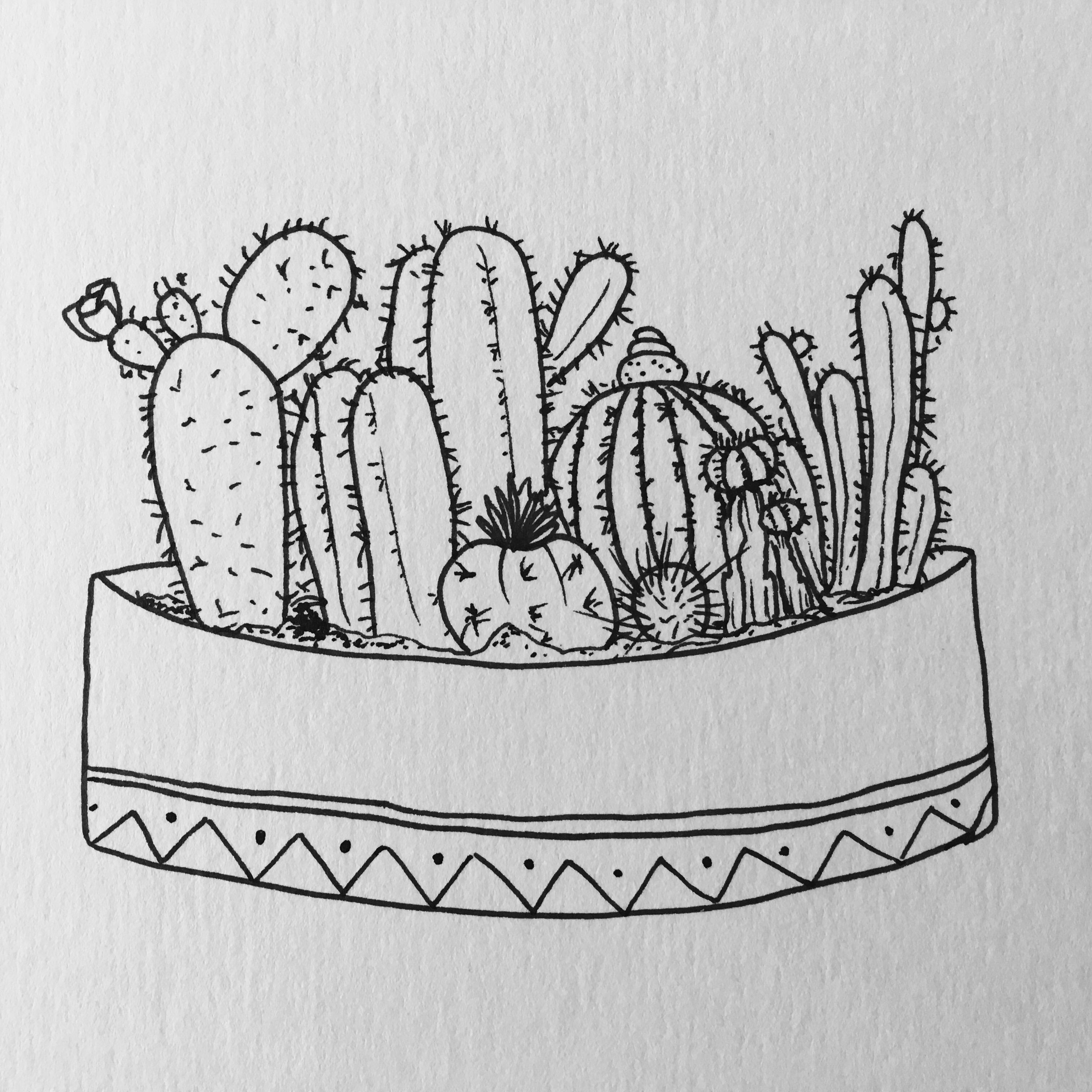 How To Draw A Succulent Plant Step By Step