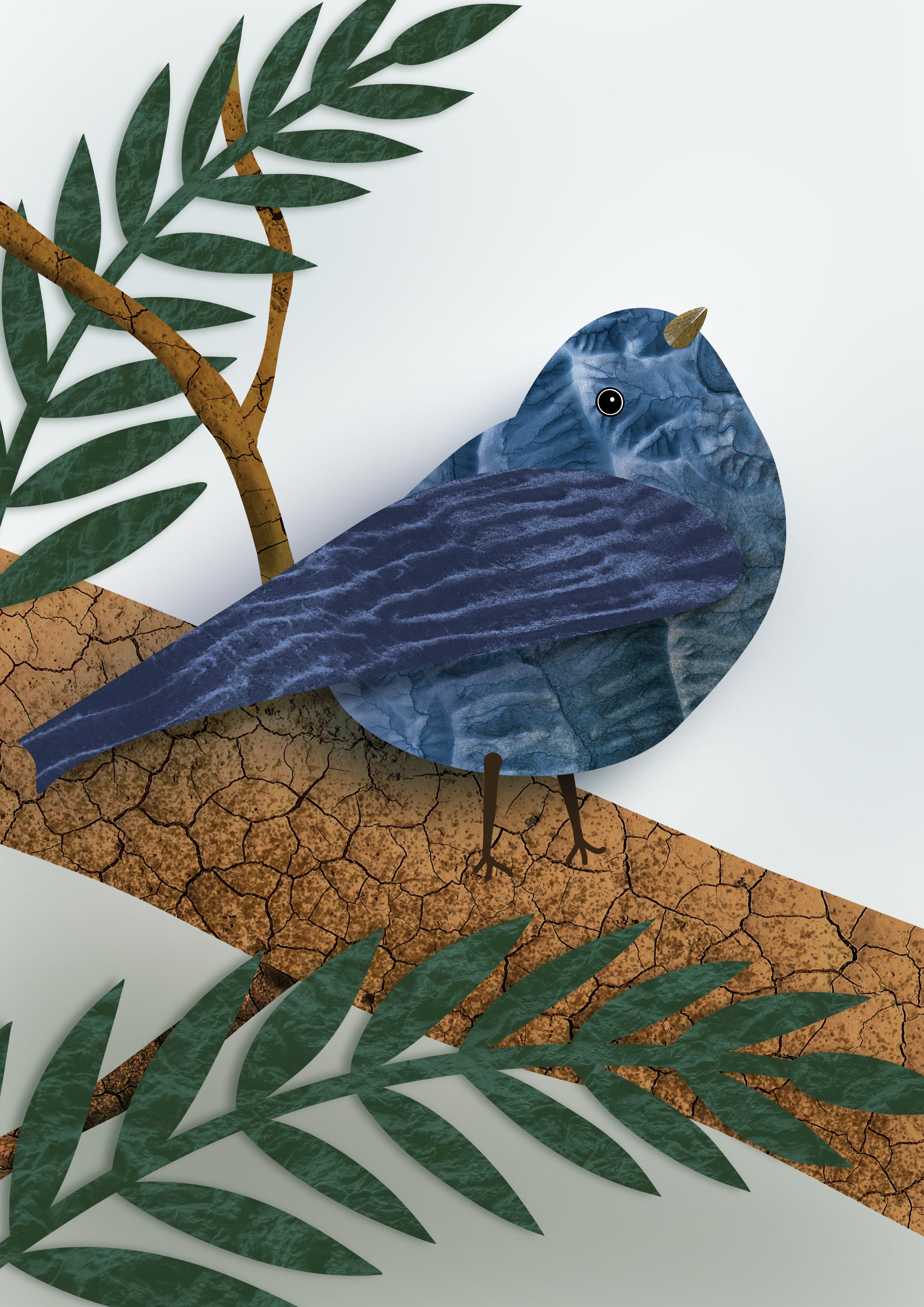 The Pen, Pencil & Shape Tools in Affinity Designer for iPad | Create  Textured Birds & Birdhouses | Tracey Capone | Skillshare