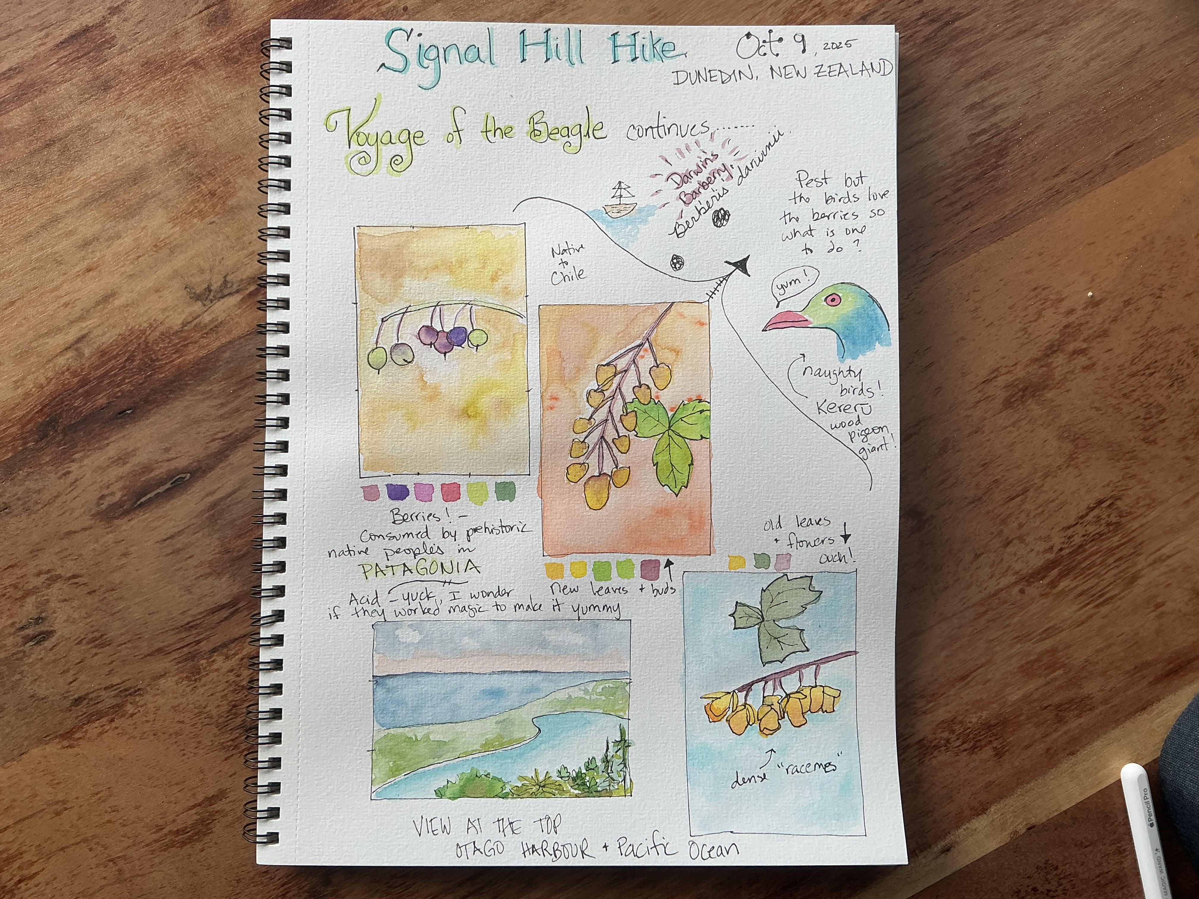 more-projects-from-class-img