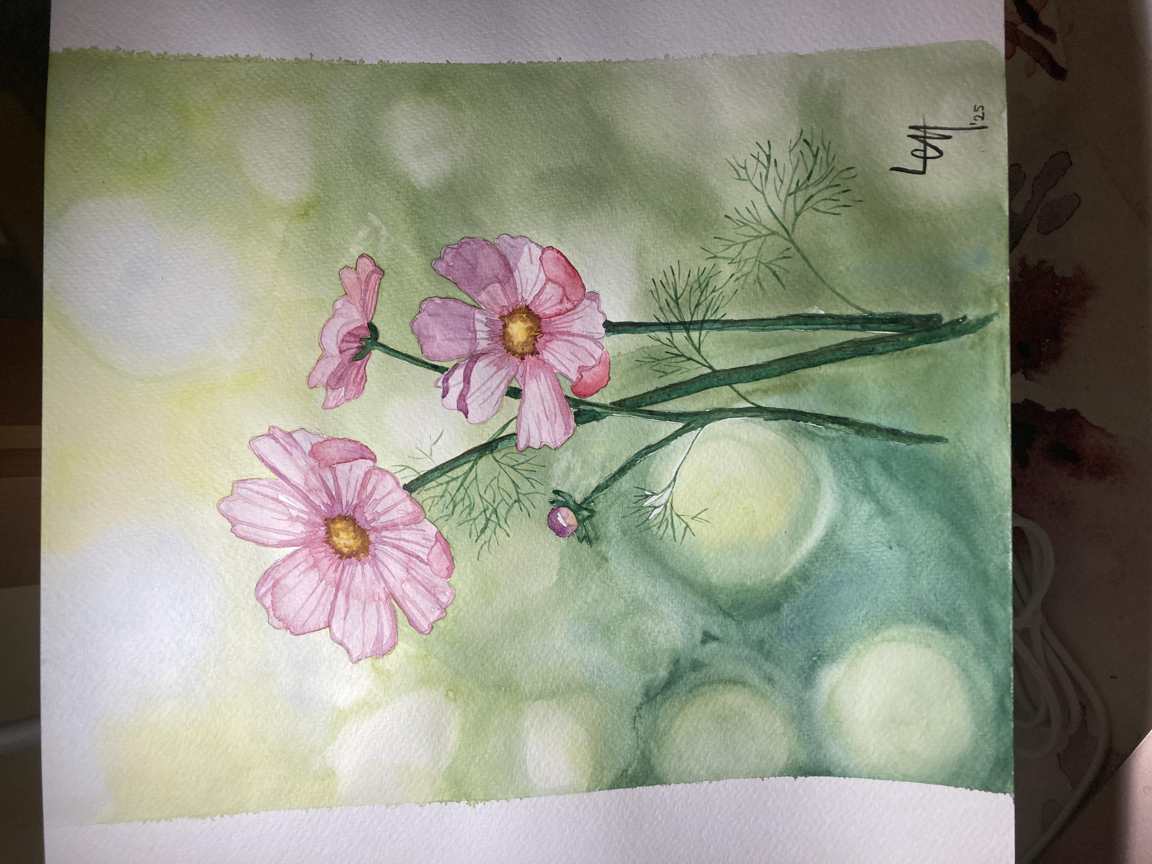 more-projects-from-class-img