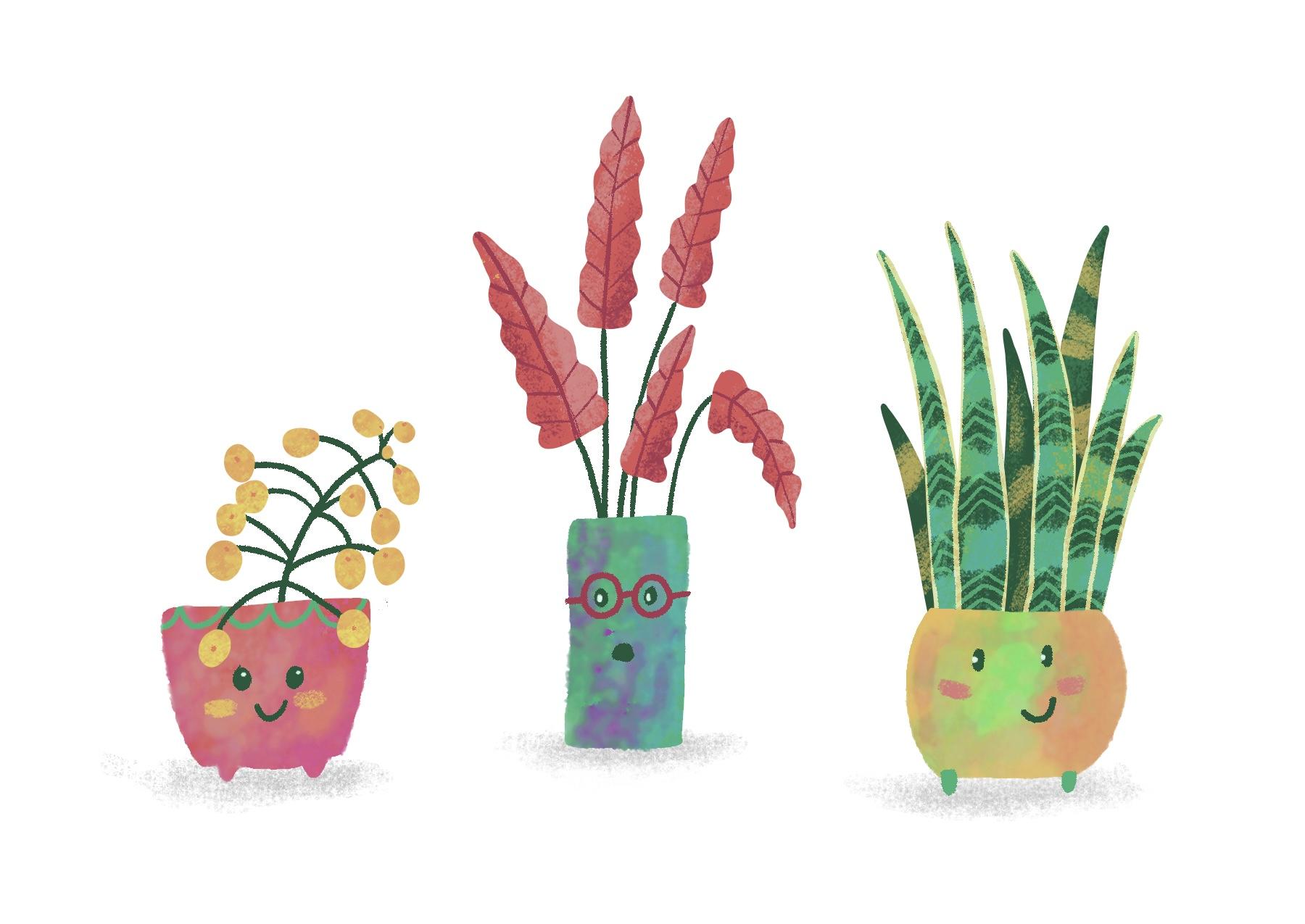more-projects-from-class-img
