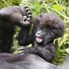 Kerrin Grant's profile picture