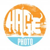 Matt Hage's profile picture