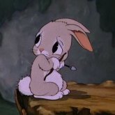 Alexis H's profile picture