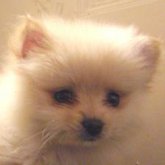 Profilbild von Mark Lee