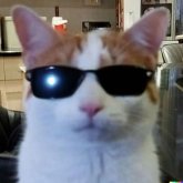 Profilbild von Sergei Nogovitsyn