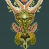 Erin Shimmervine's profile picture