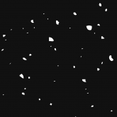Leo Rothstein's profile picture