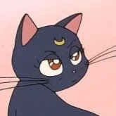 Profilbild von Elenita