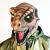 teacher avatar