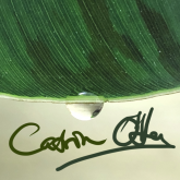 Profilbild von Catrin OHara