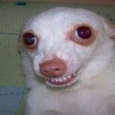 Emanuel Muchuch's profile picture