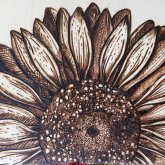 Profilbild von Renee Foskett Wilson