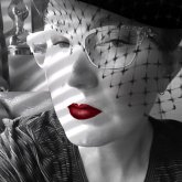 Kim Endell's profile picture