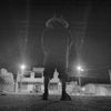 Photo de profil de Aaron David