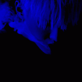 Exho's profile picture
