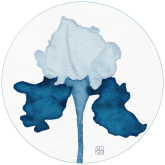 Foto de perfil de Snow Iris Studio