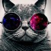 Coolz Coolz's profile picture