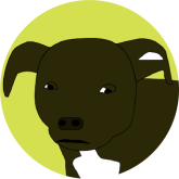Bonzitch's profile picture
