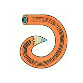 Darren Girard Koch's profile picture