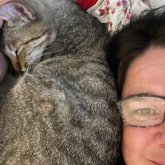 Janis Spear's profile picture