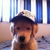 Clyde Kurti's profile picture