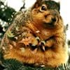 Profilbild von Lo Leaumont