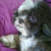 Photo de profil de Dori Seaweed