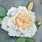 Profilbild von Denise Junek