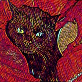 Buddha Girl's profile picture
